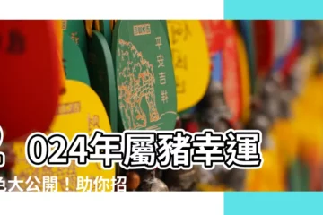 【屬豬幸運顏色】2024年屬豬幸運顏色大公開！助你招財運旺桃花