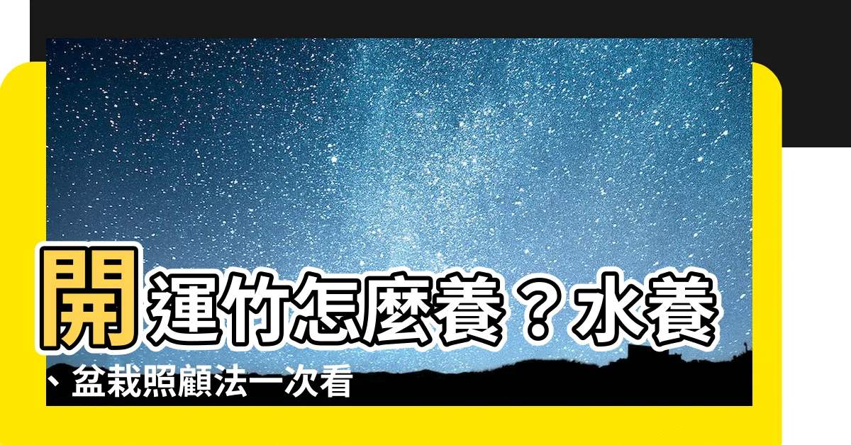 【開運竹怎麼養】開運竹怎麼養？水養、盆栽照顧法一次看，財運亨通招好運！