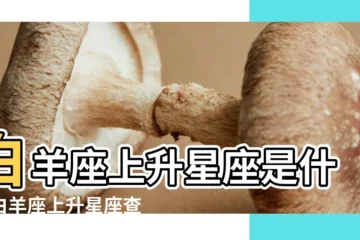 【19年白羊上升星座是什麼意思】白羊座上升星座是什麼白羊座上升星座查詢 |上升星座 |上升白羊星座的人的命運 |