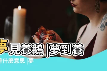 【夢見家裏養了好多鵝】夢見養鵝 |夢到養鵝是什麼意思 |夢見家裡雞鴨鵝成羣 |