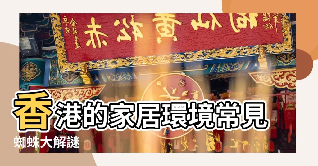 【香港 家居 蜘蛛】香港的家居環境常見蜘蛛大解謎