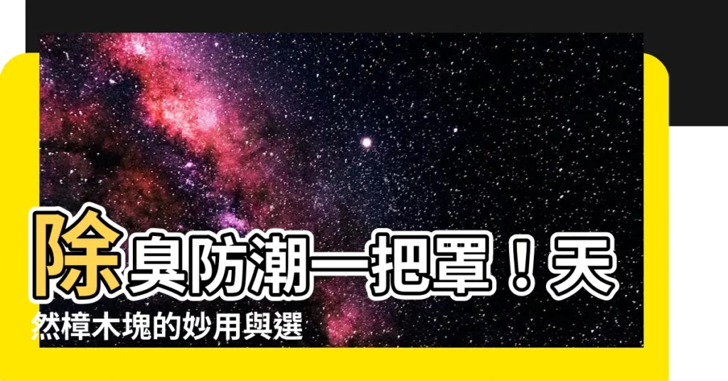 【樟木塊用途】除臭防潮一把罩！天然樟木塊的妙用與選購指南