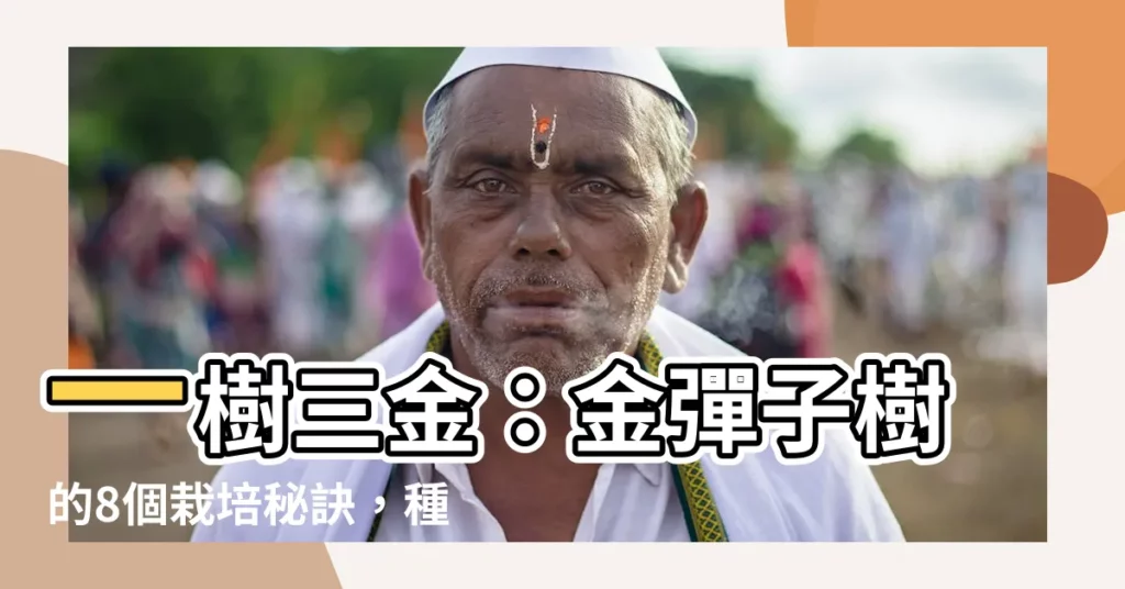 【金彈子樹】一樹三金：金彈子樹的8個栽培秘訣，種出金黃果實