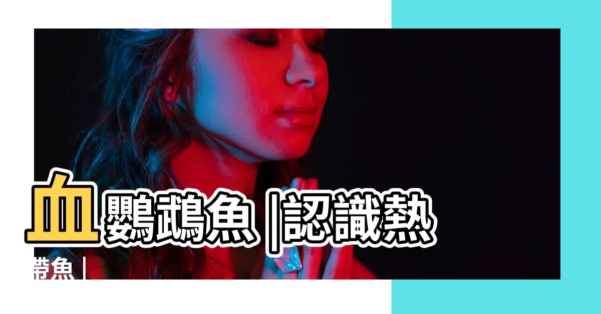 【紅鸚鵡】血鸚鵡魚 |認識熱帶魚 |