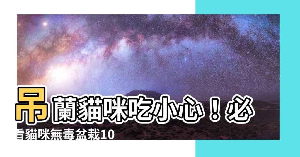 【吊蘭 貓】吊蘭貓咪吃小心！必看貓咪無毒盆栽10種推薦