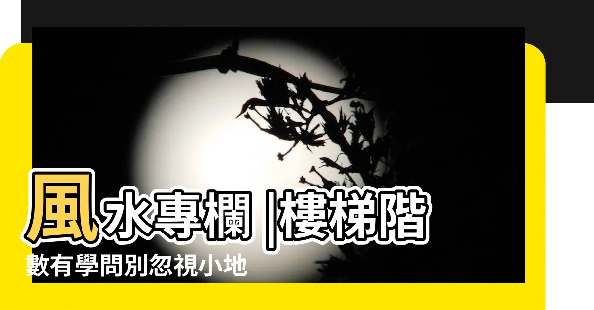 【階梯數】風水專欄 |樓梯階數有學問別忽視小地方 |樓梯階數求問 |
