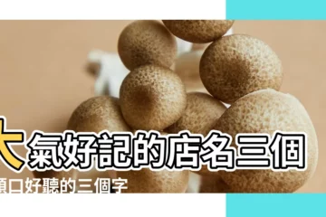 【有三的店名大】大氣好記的店名三個字順口好聽的三個字店名大全 |三個字的店名大全集好聽的三字的店名 |三個字的店名 |