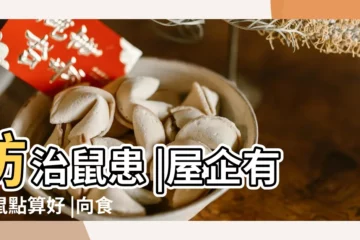 【家裏為什麼進老鼠】防治鼠患 |屋企有老鼠點算好 |向食環求助1原因拒處理 |