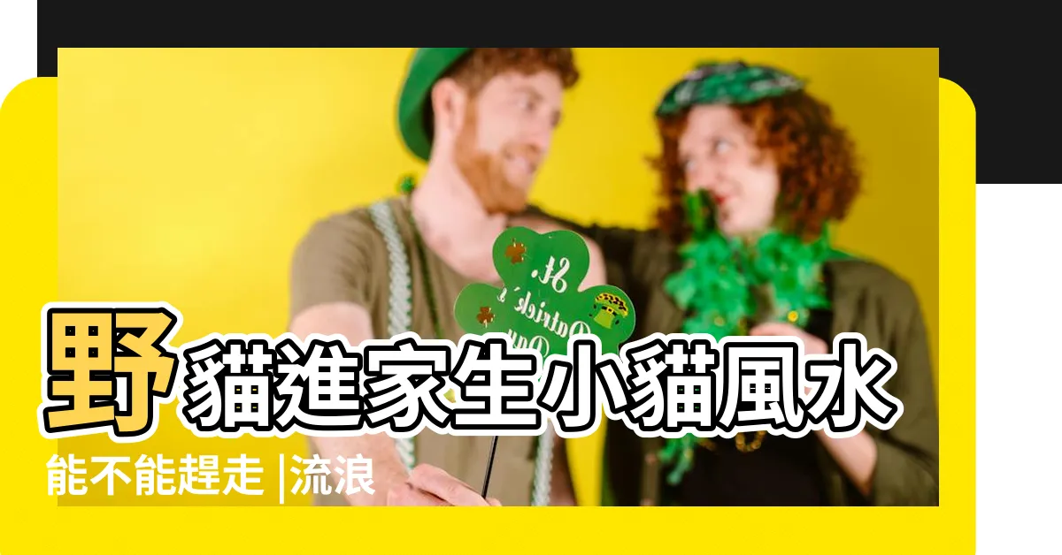 【貓跑來家裡生小貓】野貓進家生小貓風水能不能趕走 |流浪貓來我家生小貓啦 |搜索結果 |