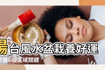 【陽台盆栽風水】陽台風水盆栽養好運！掌握6個區域關鍵，財運事業旺起來