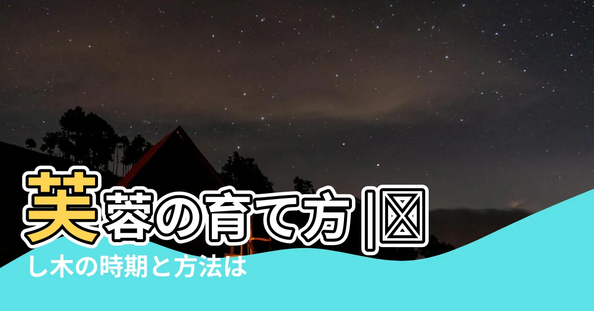【芙蓉難種】芙蓉の育て方 |挿し木の時期と方法は |種まきや剪定 |