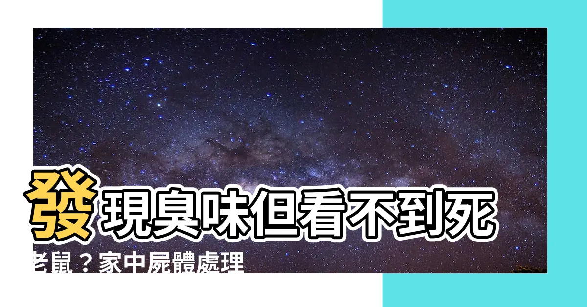【看到死老鼠】發現臭味但看不到死老鼠？家中屍體處理天書！