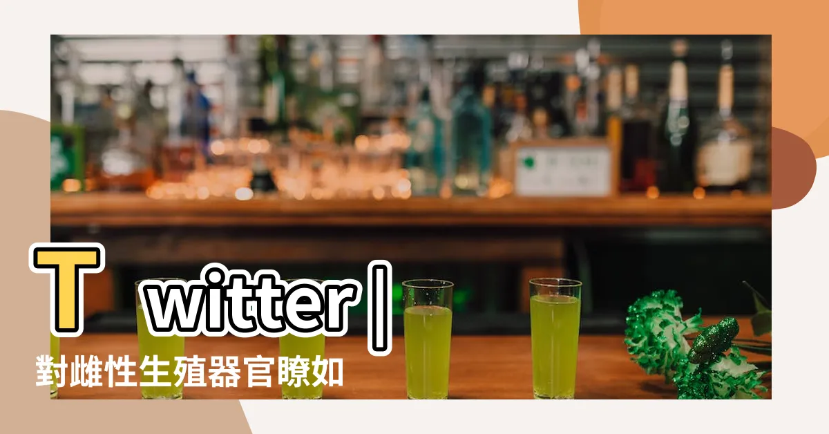 【陰環母狗】Twitter |對雌性生殖器官瞭如指掌 |zuriniyanyan |