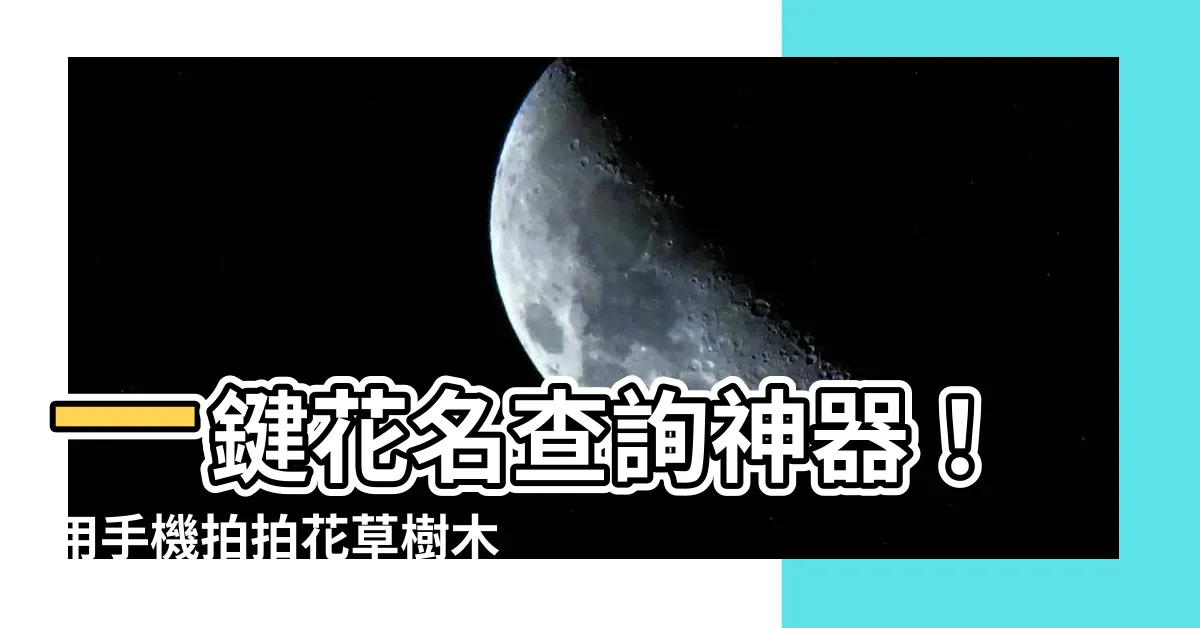 【花名查詢】一鍵花名查詢神器！用手機拍拍花草樹木，就能輕鬆辨識！