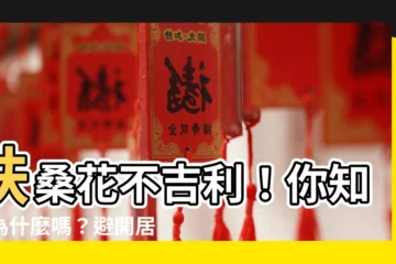 【扶桑花不吉利】扶桑花不吉利！你知道為什麼嗎？避開居家風水禁忌，遠離黴運