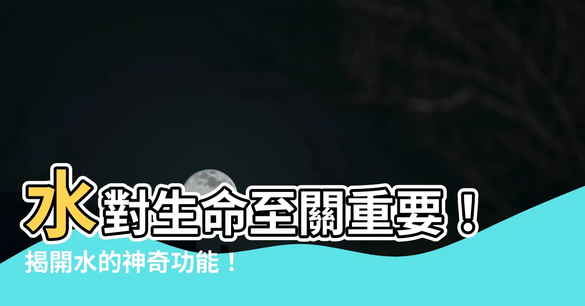 【水的功能有哪些】水對生命至關重要！揭開水的神奇功能！