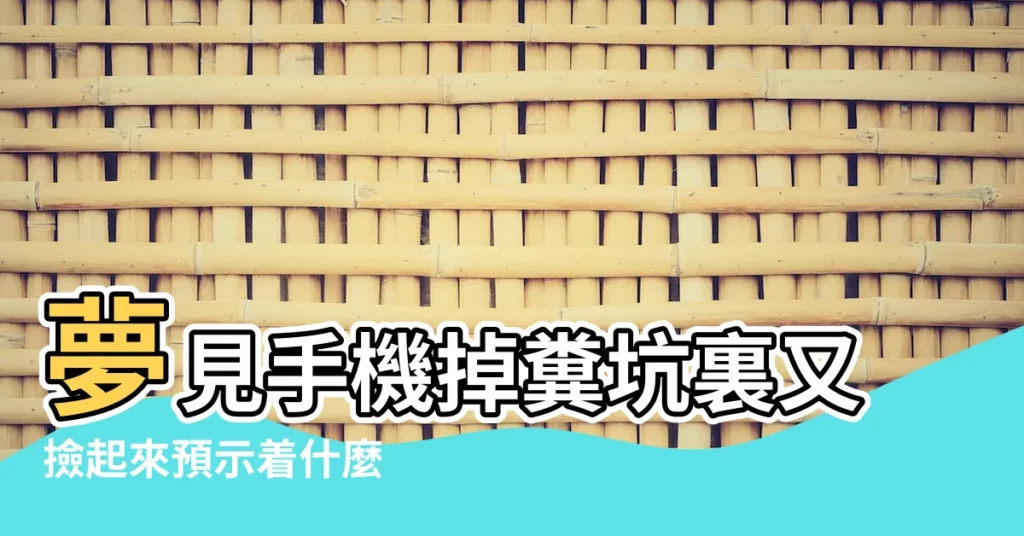 夢見手機掉糞坑裏又撿起來預示着什麼 |夢見手機掉進糞坑裡 |夢見手機掉糞坑 |【夢手機掉糞池】