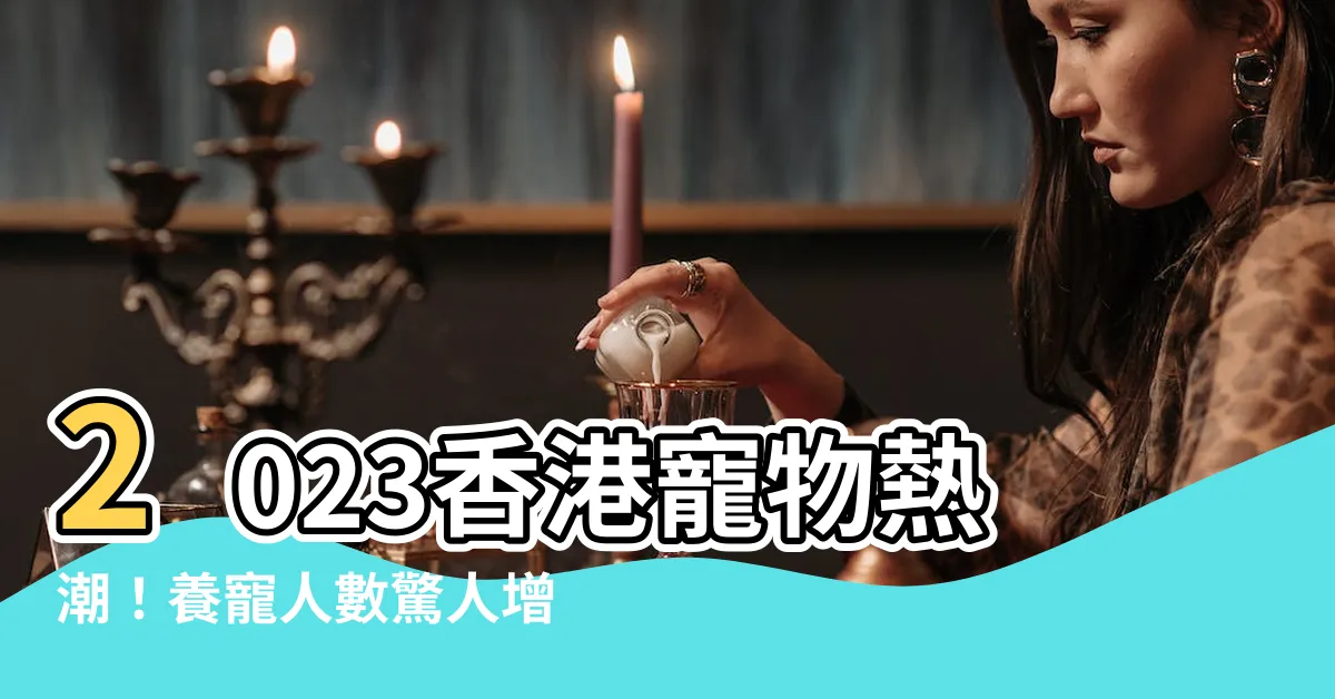 【香港養寵物人數2023】2023香港寵物熱潮！養寵人數驚人增長，貓奴經濟破新高！