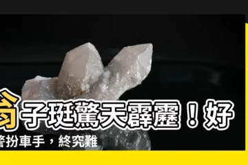 【翁子珽】翁子珽驚天霹靂！好賭警扮車手，終究難逃法網