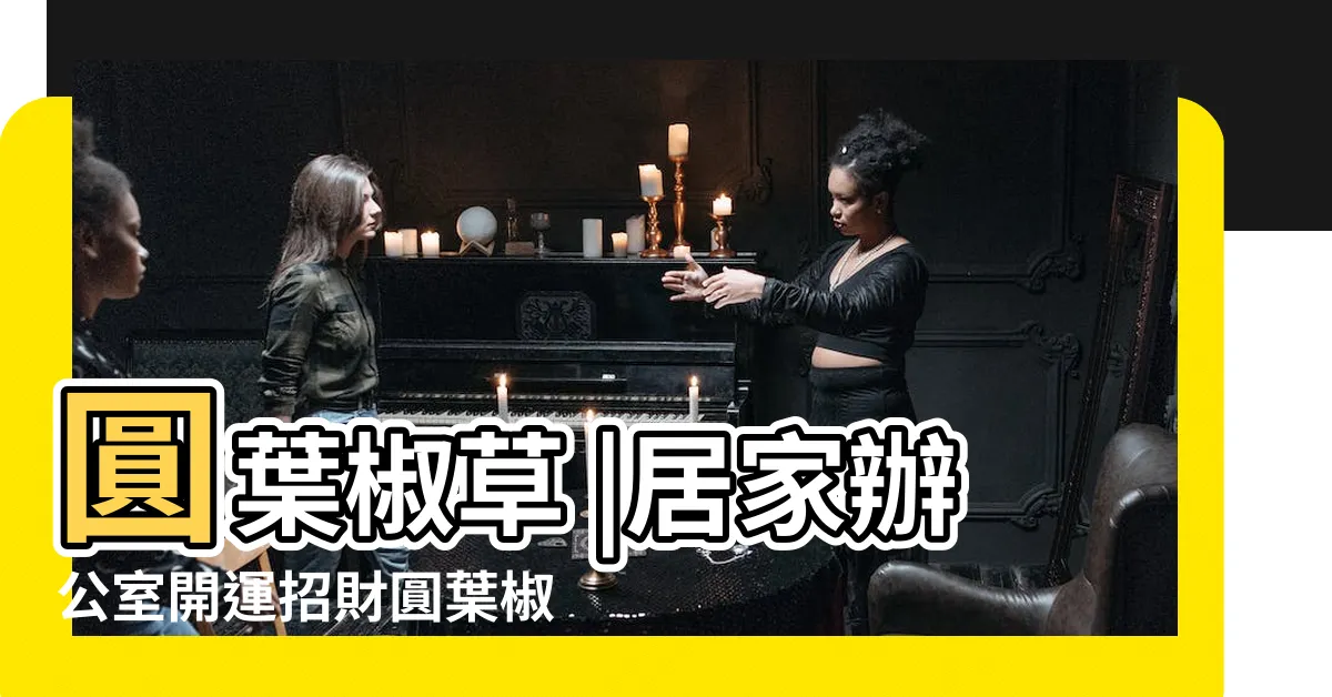 【圓葉發財樹風水】圓葉椒草 |居家辦公室開運招財圓葉椒草盆栽 |圓葉椒草 |