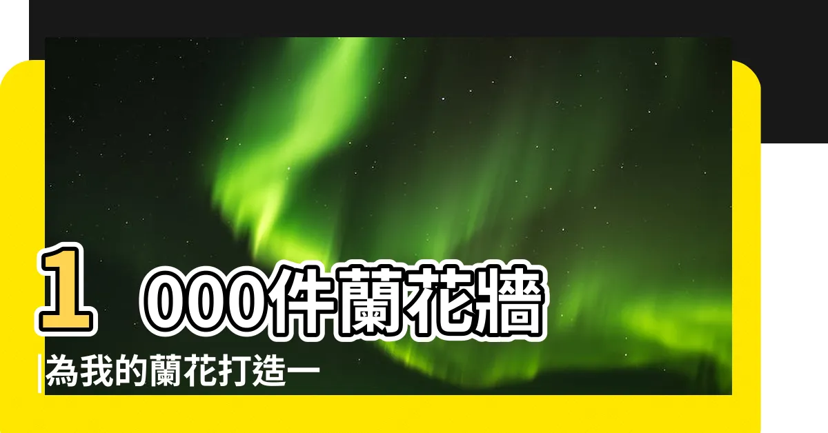 【蘭花牆】1000件蘭花牆 |為我的蘭花打造一片蘭花牆 |21年十一月份不同蘭花跟進 |