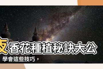 【夜香花種植】夜香花種植秘訣大公開！學會這些技巧，夜香花綻放不再是夢！