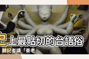 【養老鼠咬布袋台語】史上最貼切的台語俗諺！聽記者講「養老鼠咬布袋」直接笑翻