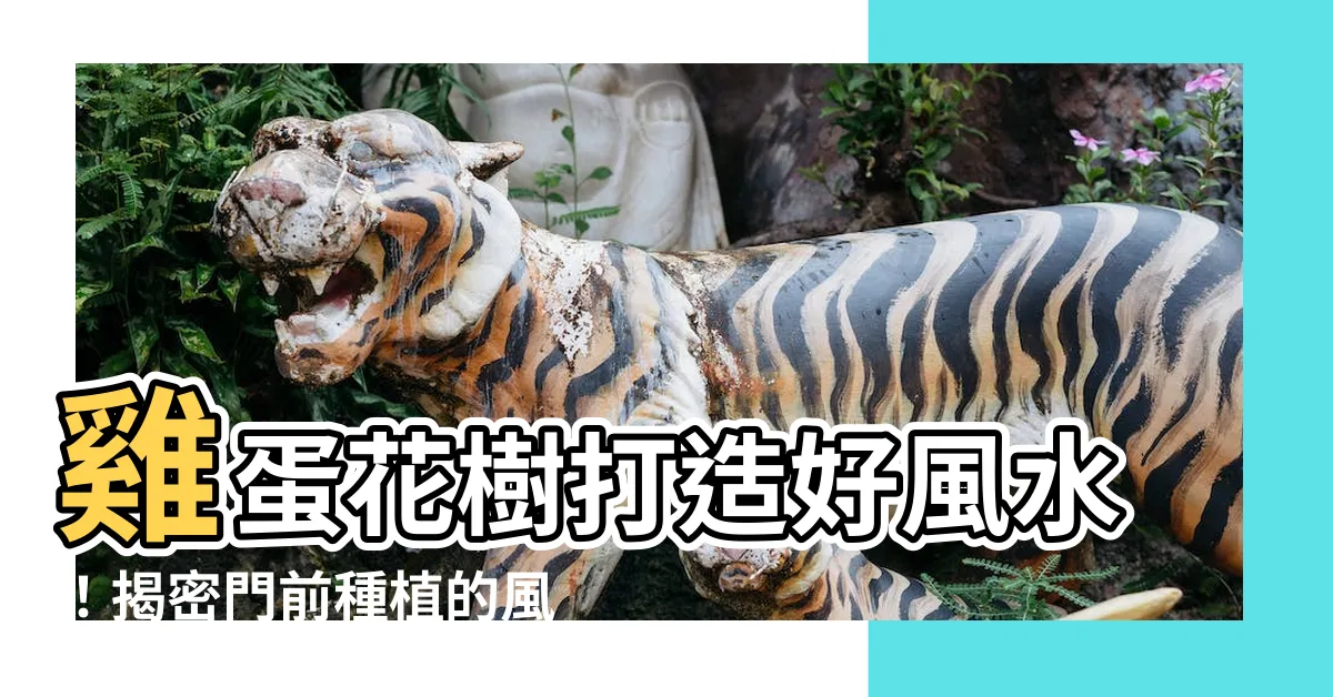 【雞蛋花 風水】雞蛋花樹打造好風水！揭密門前種植的風水禁忌