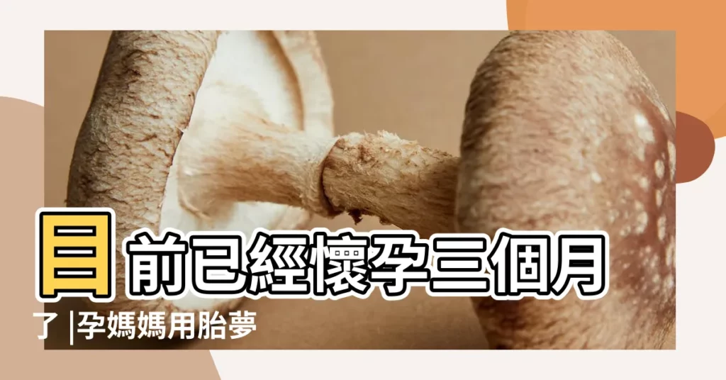 目前已經懷孕三個月了 |孕媽媽用胎夢辨別寶寶性別 |原來夢到這些的意思是 |【孕婦做夢夢到小女孩摸肚子】