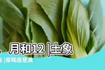 【摩羯座有幾類】1月和12 |土象星座 |摩羯座是真高冷還是假正經 |