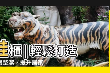 【鞋櫃】鞋櫃 | 輕鬆打造玄關整潔，提升居家質感！