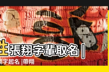 【張姓男寶寶起名帶 翔字】姓張翔字輩取名 |用翔字起名 |帶翔字的男孩名字 |