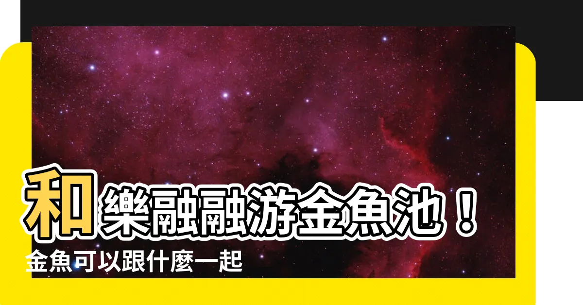 【金魚可以跟什麼一起養】和樂融融遊金魚池！金魚可以跟什麼一起養？