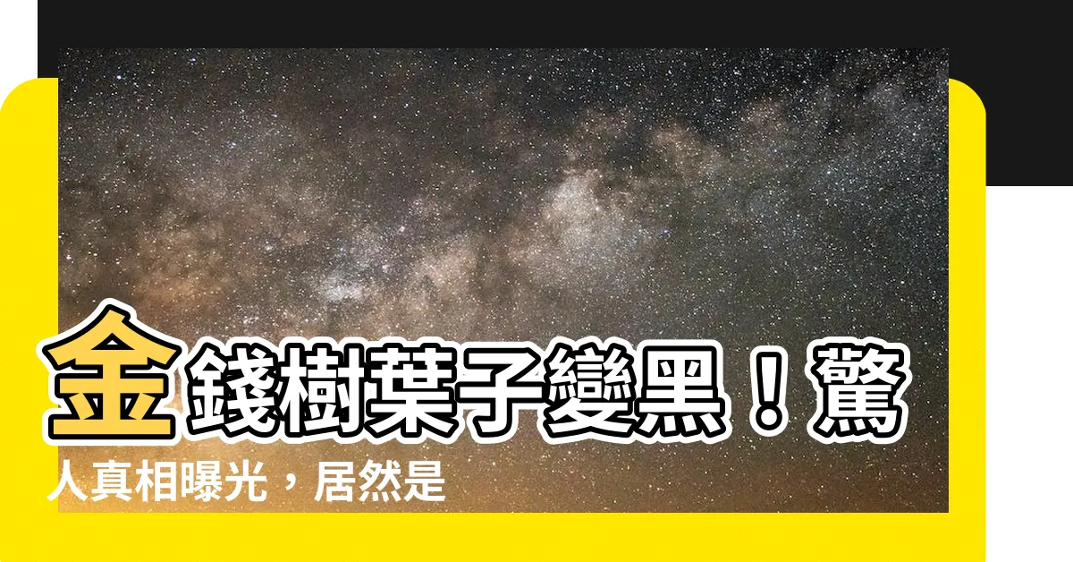 【金錢樹葉子變黑】金錢樹葉子變黑！驚人真相曝光，居然是這種驚人原因造成的！
