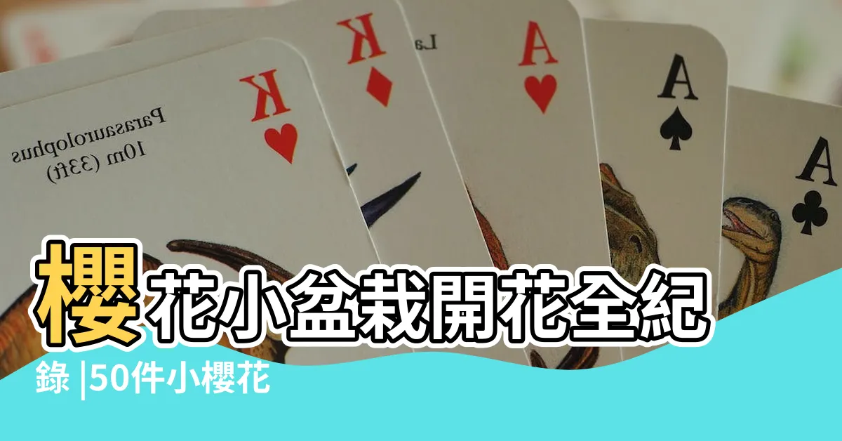 【小櫻花樹】櫻花小盆栽開花全紀錄 |50件小櫻花盆栽 |花得更少買得更好 |