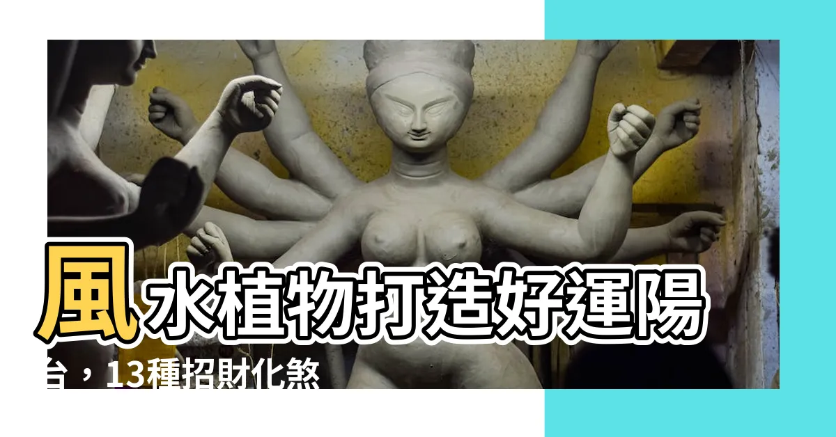 【風水植物 陽台】風水植物打造好運陽台，13種招財化煞保平安