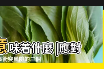 【2017中國會發生戰爭嗎】意味着什麼 |應對軍事衝突風險的三個原因 |中國戰爭威脅下 |
