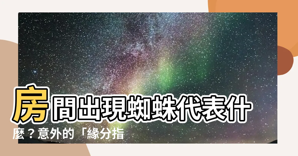 【房間出現蜘蛛代表】房間出現蜘蛛代表什麼？意外的「緣分指南」！