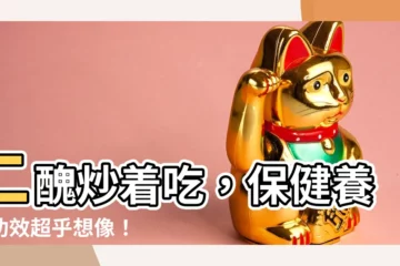 【二醜】二醜炒着吃，保健養生功效超乎想像！