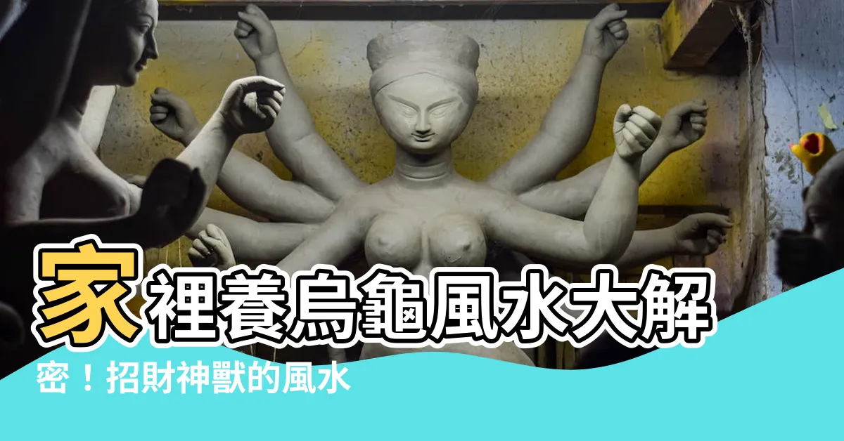【家裡養烏龜 風水】家裡養烏龜風水大解密！招財神獸的風水禁忌曝光