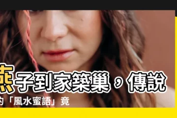 【燕子到家築巢】燕子到家築巢，傳説中的「風水蜜語」竟然是真的？