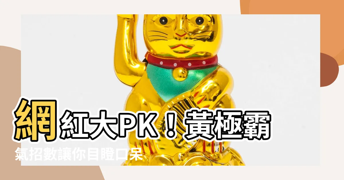 【黃極】網紅大PK！黃極霸氣招數讓你目瞪口呆！