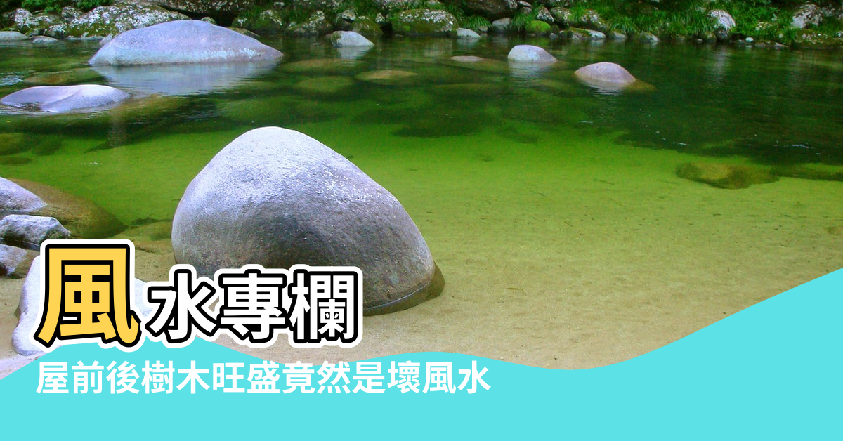 【風水樹pai風水樹】風水專欄 |屋前後樹木旺盛竟然是壞風水 |想要家裏風水好 |