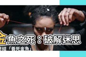 【金魚 死】金魚之死：破解迷思，終結「養死金魚」的悲劇