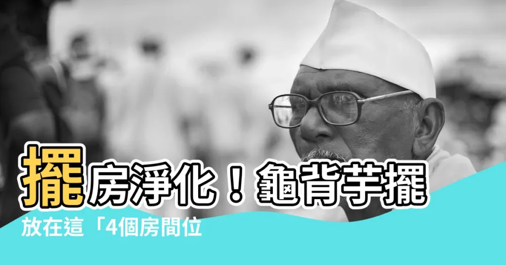 【龜背芋 房間】擺房淨化！龜背芋擺放在這「4個房間位置」，消負能、空氣又乾淨