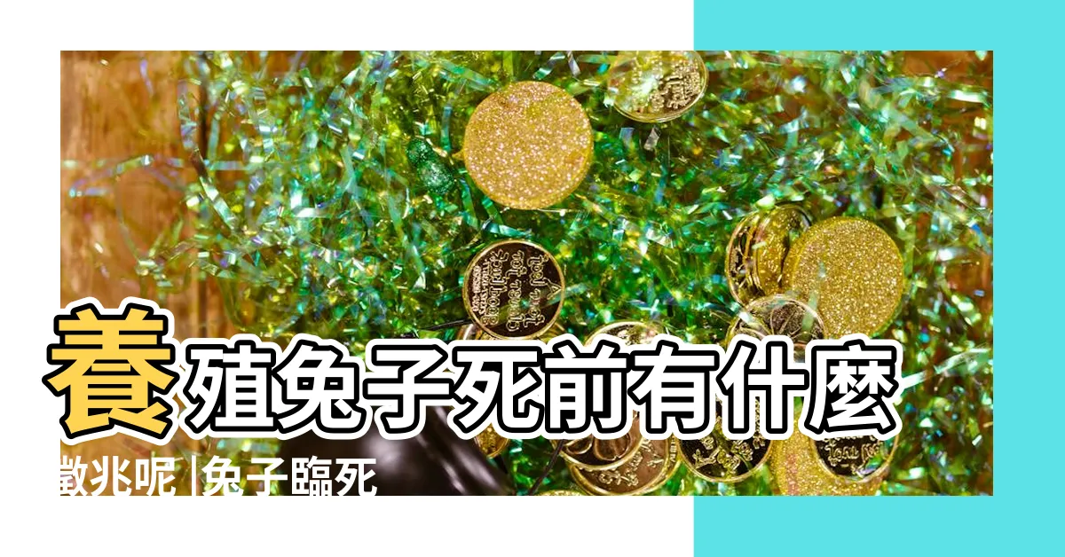 【兔子死前徵兆】養殖兔子死前有什麼徵兆呢 |兔子臨死前徵兆 |搜索結果 |