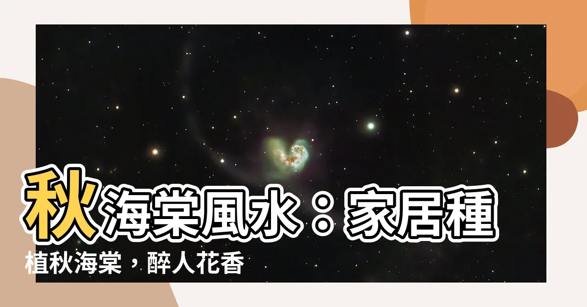 【秋海棠風水】秋海棠風水：家居種植秋海棠，醉人花香盡現的風水禁忌