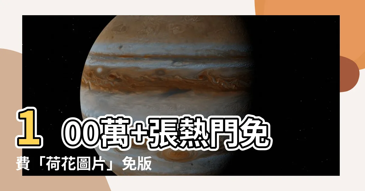 【荷花圖片】100萬+張熱門免費「荷花圖片」免版税下載