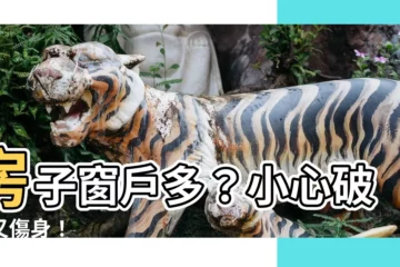 【房子窗户多】房子窗户多？小心破財又傷身！