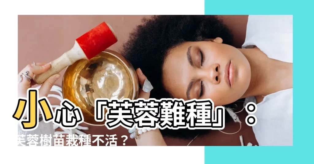 【芙蓉難種】小心「芙蓉難種」：芙蓉樹苗栽種不活？芙蓉盆栽空盆危機！